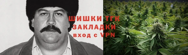 прущие грибы Алексин