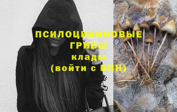 прущие грибы Алексин