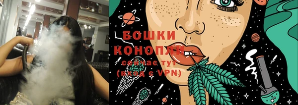 шишки Нефтекумск